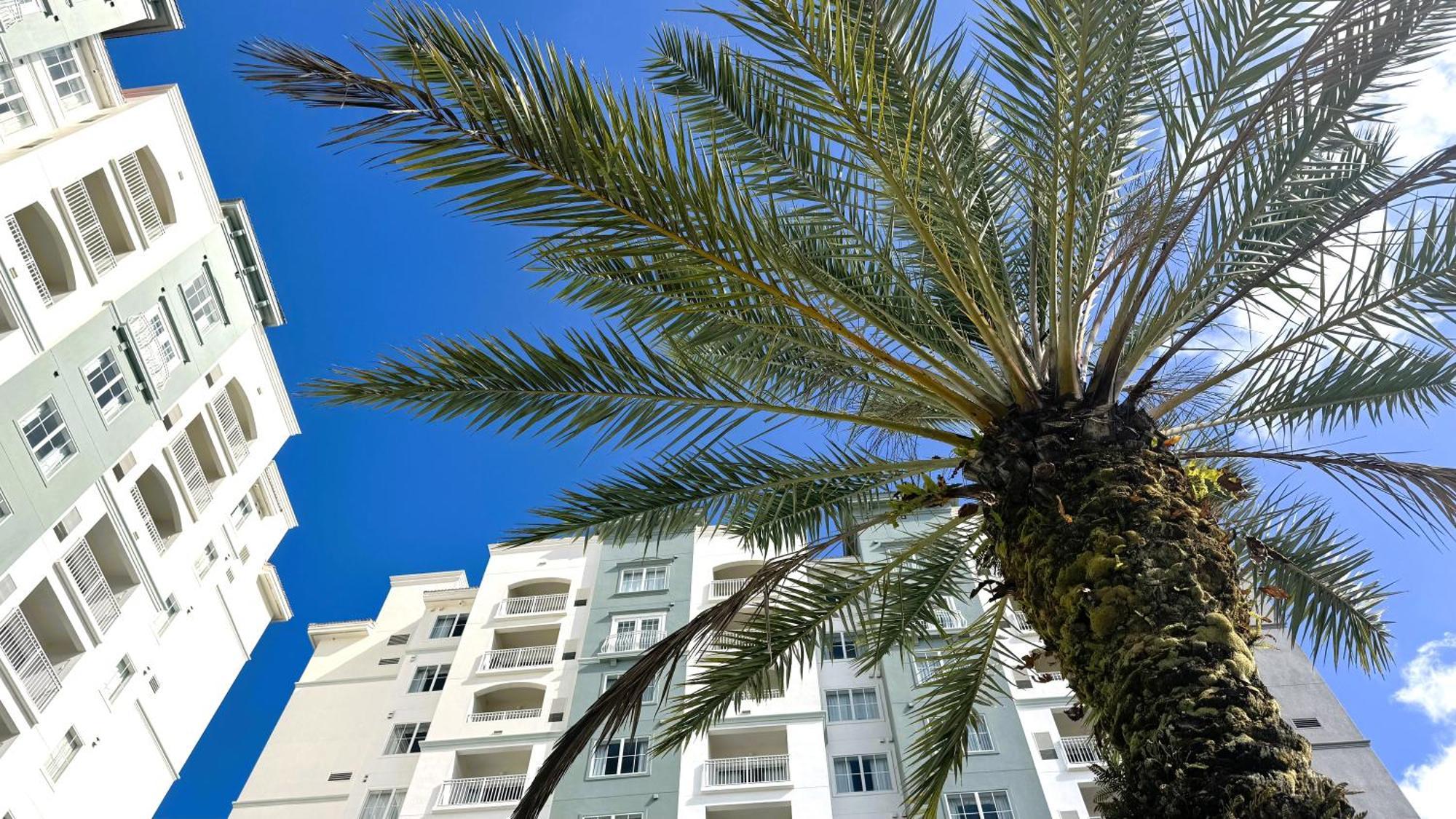 The Point Hotel & Suites Universal Orlando Kültér fotó