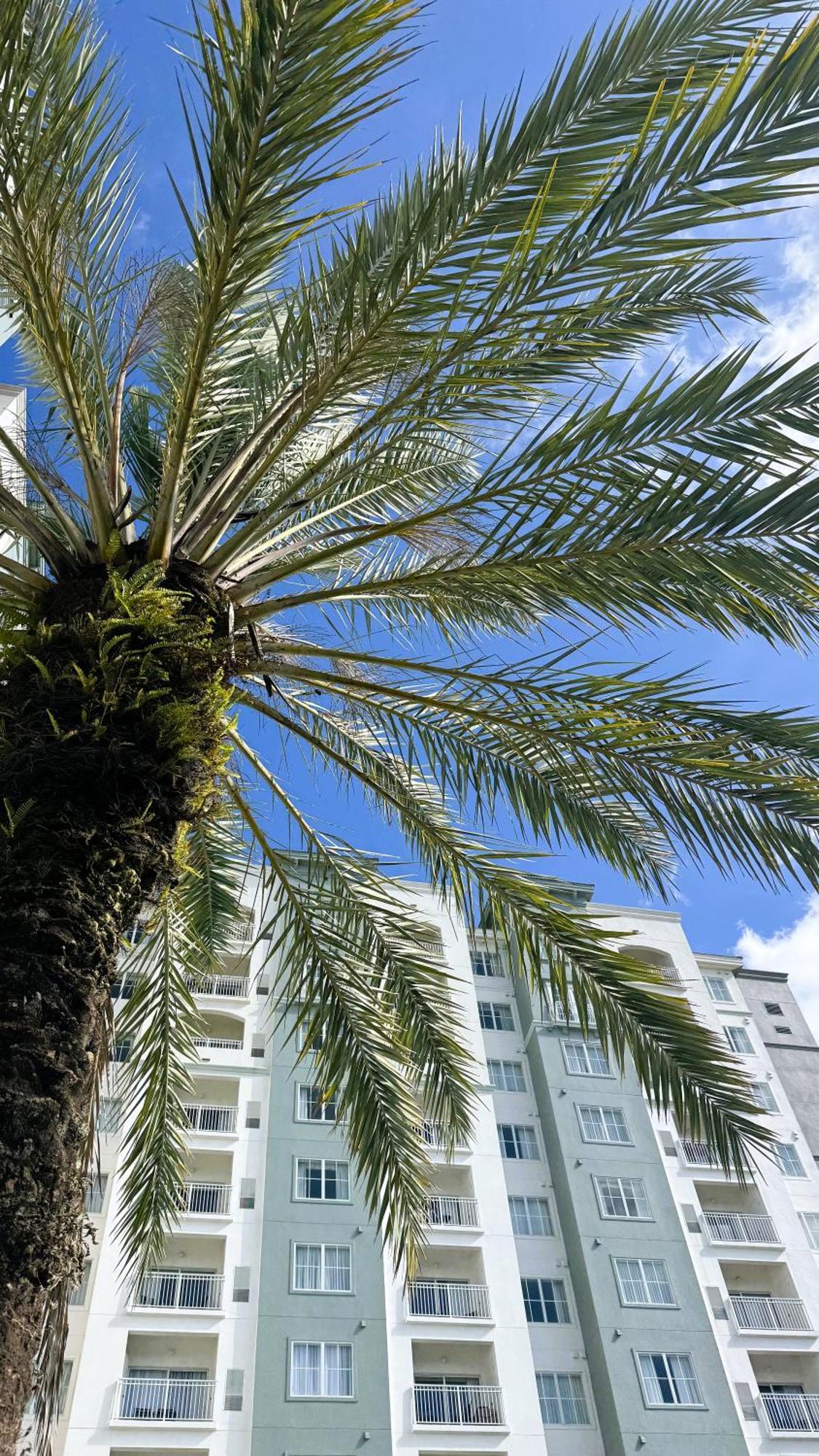 The Point Hotel & Suites Universal Orlando Kültér fotó